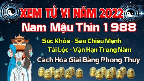 Xem Tử Vi Năm 2022 Tuổi Mậu Thìn 1988  Nam  Mạng Vận Hạn , Tài Lộc , Sao Chiếu Mệnh Chi Tiết Nhất