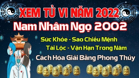 Xem Tử Vi Năm 2022 Tuổi Nhâm Ngọ 2002 Nam Mạng Vận Hạn , Tài Lộc , Sao Chiếu Mệnh Chi Tiết Nhất