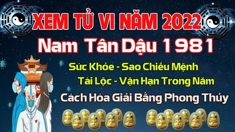 Xem Tử Vi Năm 2022 Tuổi Tân Dậu 1981 Nam Mạng Vận Hạn , Tài Lộc , Sao Chiếu Mệnh Chi Tiết Nhất