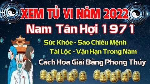 Xem Tử Vi Năm 2022 Tuổi Tân Hợi Nam 1971  Mạng Vận Hạn , Tài Lộc , Sao Chiếu Mệnh Chi Tiết Nhất