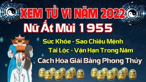 Xem Tử Vi Năm 2022 Tuổi Ất Mùi 1955 Nữ  Mạng Vận Hạn , Tài Lộc , Sao Chiếu Mệnh Chi Tiết Nhất