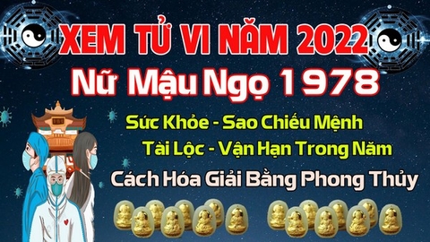 Xem Tử Vi Năm 2022 Tuổi Mậu Ngọ 1978 Nữ Mạng Vận Hạn , Tài Lộc , Sao Chiếu Mệnh Chi Tiết Nhất