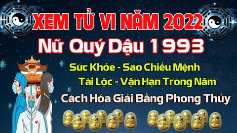 Xem Tử Vi Năm 2022 Tuổi Quý Dậu 1993  Nữ Mạng Vận Hạn , Tài Lộc , Sao Chiếu Mệnh Chi Tiết Nhất