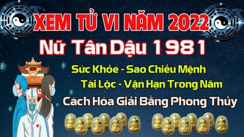 Xem Tử Vi Năm 2022 Tuổi Tân Dậu 1981 Nữ  Mạng Vận Hạn , Tài Lộc , Sao Chiếu Mệnh Chi Tiết Nhất