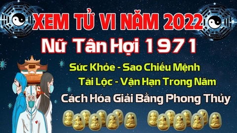 Xem Tử Vi Năm 2022 Tuổi Tân Hợi Nữ 1971  Mạng Vận Hạn , Tài Lộc , Sao Chiếu Mệnh Chi Tiết Nhất