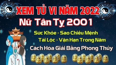 Xem Tử  Vi Năm 2022 Tuổi Tân Tỵ  2001 Nữ  Mạng Sao Chiếu Mệnh, Hạn Tuổi, Công Danh, Tài Lộc Chi Tiết