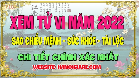 Tử Vi Mậu Ngọ Năm 2022 - Nam Mạng 1978