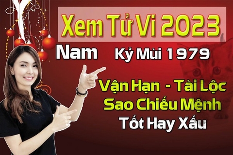 Xem Tử Vi Năm 2023 Nam Tuổi Kỷ Mùi 1979