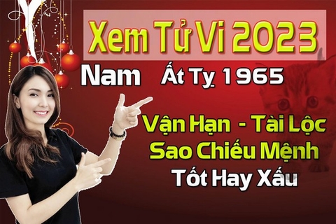 Xem Tử Vi Năm 2023 Nam Tuổi Ất Tỵ 1965