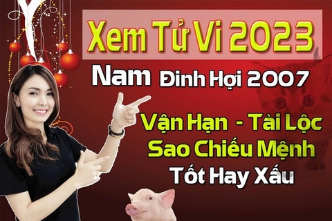 Xem Tử Vi Năm 2023 Nam Tuổi Đinh Hợi 2007