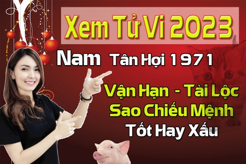 Xem Tử Vi Năm 2023 Nam Tuổi Tân Hợi 1971