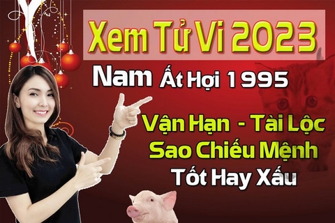 Xem Tử Vi Năm 2023 Nam Tuổi Ất Hợi 1995