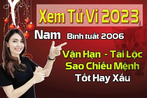 Xem Tử Vi Năm 2023 Nam Tuổi Bính Tuất 2006