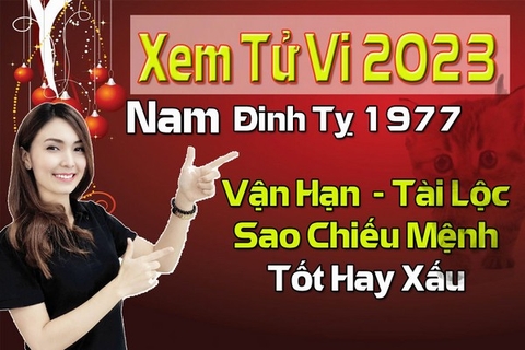 Xem Tử Vi Năm 2023 Nam Tuổi Đinh Tỵ 1977