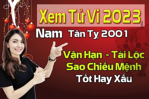 Xem Tử Vi Năm 2023 Nam Tuổi Tân Tỵ 2001