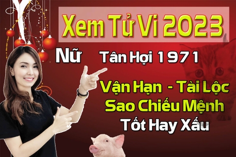 Xem Tử Vi Năm 2023 Nữ Tuổi Tân Hợi 1971