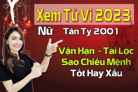 Xem Tử Vi Năm 2023 Nữ Tuổi Tân Tỵ 2001