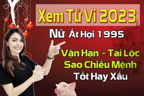 Xem Tử Vi Năm 2023 Nữ Tuổi Ất Hợi 1995