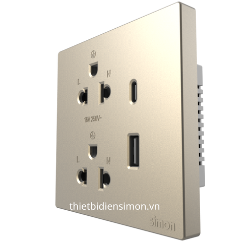 Bộ ổ cắm đôi chuẩn Âu-Mỹ 16A + cổng sạc USB Type A, C (20W), (Champagne) 58E7251-46