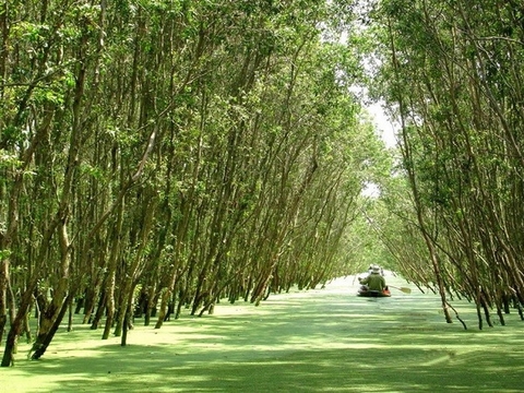 Tour Miền Tây 2 Ngày 1 Đêm 