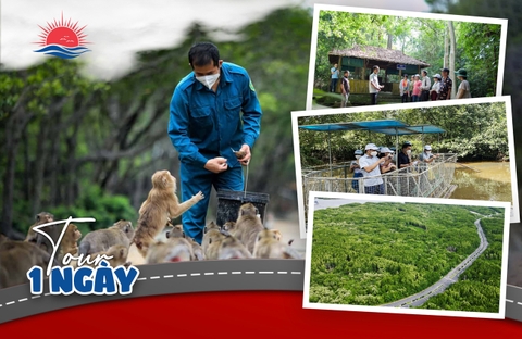 TOUR THAM QUAN ĐẢO KHỈ CẦN GIỜ 1 NGÀY