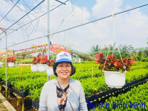 TOUR MIỀN TÂY 07 : SGN - LÀNG HOA CHỢ LÁCH BẾN TRE  - KDL CỒN PHỤNG THỜI GIAN 1 NGÀY. KHỞI HÀNH HÀNG NGÀY