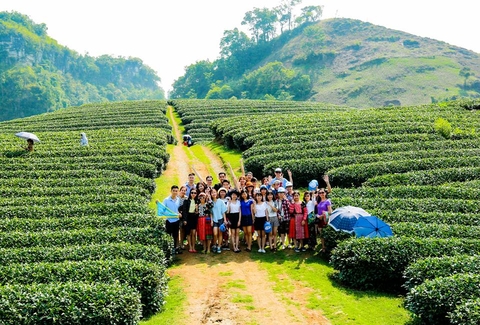 TOUR DU LỊCH THUNG LŨNG MAI CHÂU - CAO NGUYÊN MỘC CHÂU (02 Ngày/ 01 Đêm)