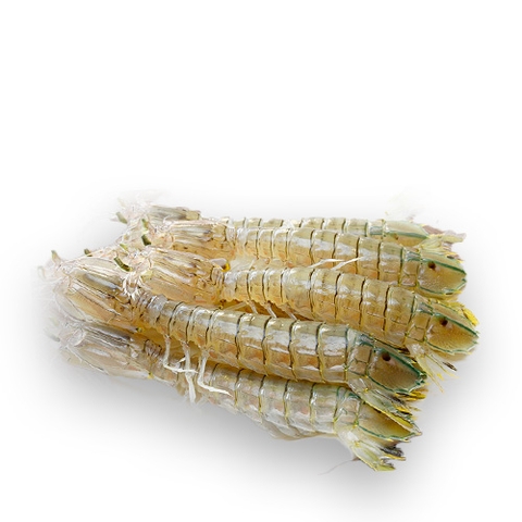 Bề bề loại to