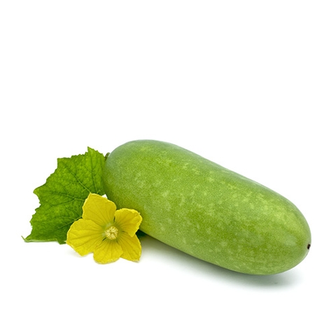 Bí đao