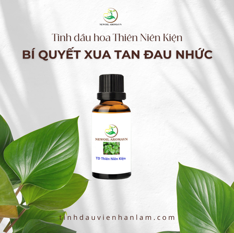 TINH DẦU THIÊN NIÊN KIỆN CÓ TÁC DỤNG GÌ