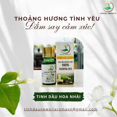 TINH DẦU HOA NHÀI: THOẢNG HƯƠNG TÌNH YÊU, ĐẮM SAY CẢM XÚC! ✨