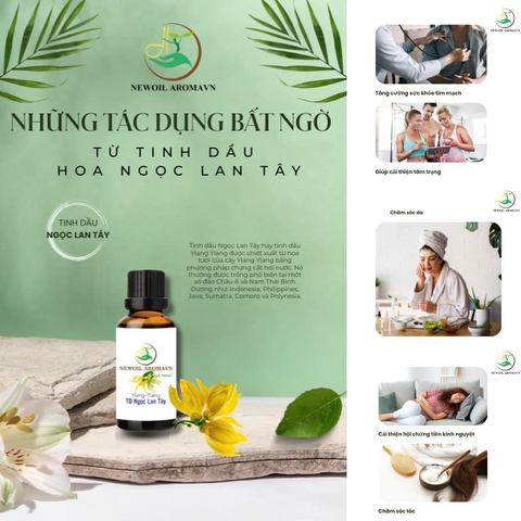 NHỮNG TÁC DỤNG BẤT NGỜ TỪ TINH DẦU HOA NGỌC LAN TÂY