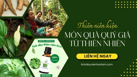 THIÊN NIÊN KIỆN-MÓN QUÀ QUÝ GIÁ TỪ THIÊN NHIÊN 🧖