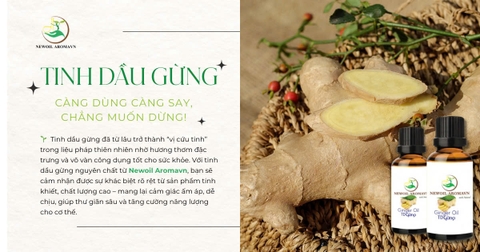 TINH DẦU GỪNG - CÀNG DÙNG CÀNG SAY, CHẲNG MUỐN DỪNG! ✨