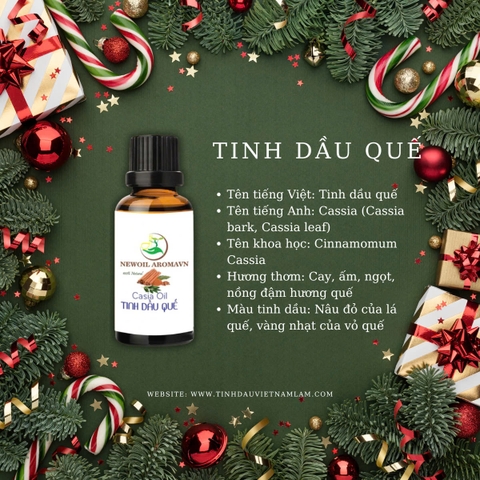 🎄 GỢI Ý MÙI HƯƠNG TINH DẦU CHO MÙA GIÁNG SINH ẤM ÁP 🎁