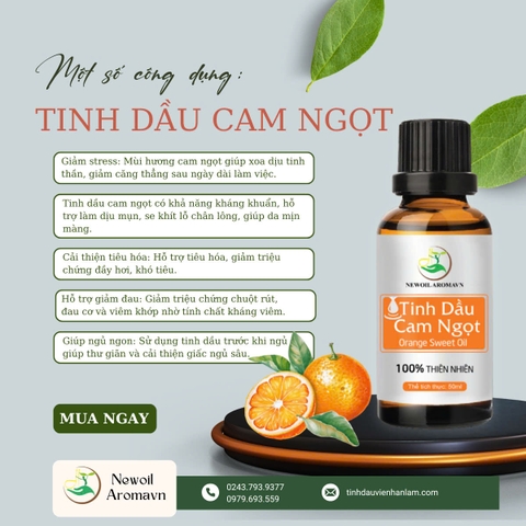 BÍ QUYẾT KHỞI ĐẦU NGÀY MỚI: ĐÁNH THỨC NĂNG LƯỢNG VỚI HƯƠNG CAM QUÝT BƯỞI! 🍊✨