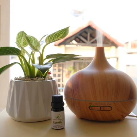 ​​MÁY KHUẾCH TÁN BẦU TIÊN – NHỎ GỌN, SANG TRỌNG, TẠO KHÔNG GIAN THƯ GIÃN 🌿✨