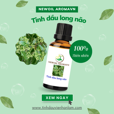 Tinh dầu long não nguyên chất Newoil Aromavn