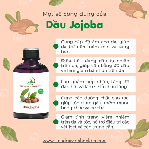 Dầu nền Jojoba