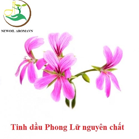 Tinh dầu Phong Lữ nguyên chất Newoil Aromavn