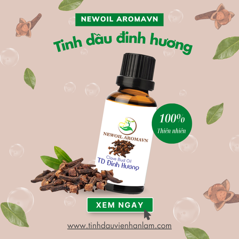 Tinh dầu đinh hương nguyên chất Newoil Aromavn - Clove Oil