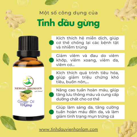 Tinh dầu gừng nguyên chất Newoil Aromavn