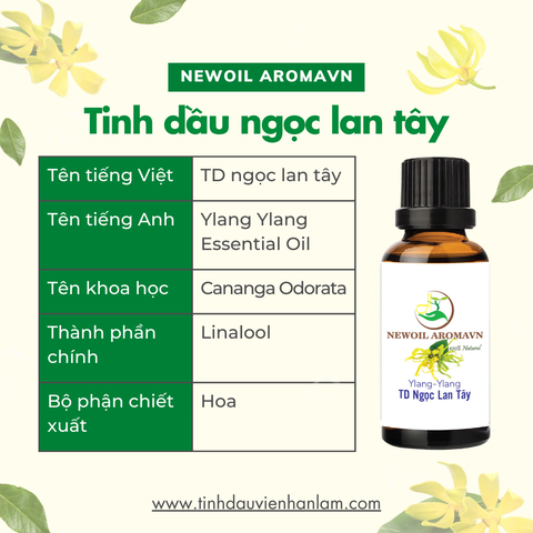 Tinh Dầu Ngọc Lan Tây (Ylang Ylang)