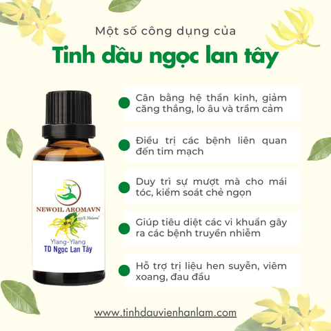 Tinh Dầu Ngọc Lan Tây (Ylang Ylang)