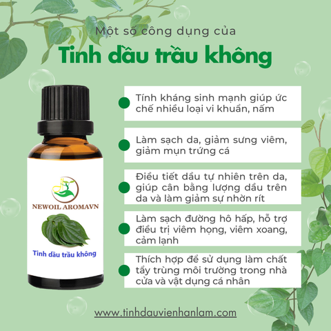 Tinh dầu Trầu không nguyên chất Newoil Aromavn