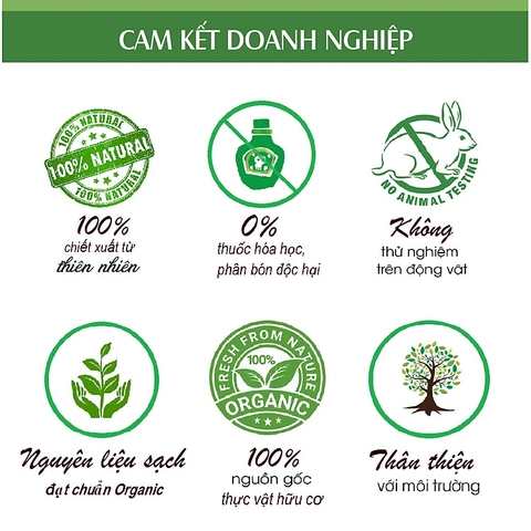 Tinh dầu đinh hương nguyên chất  Clove Essential Oil 1 lít