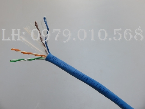 Phân phối cáp mạng BELDEN cat6 UTP chính hãng