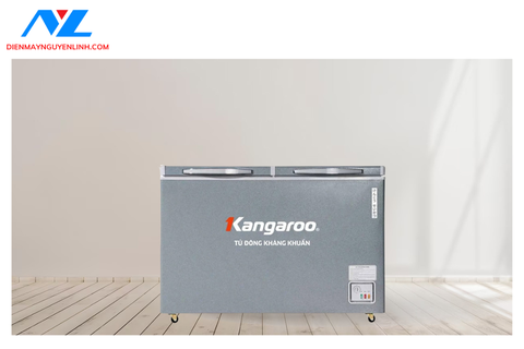 Tủ đông kháng khuẩn 375 lít KGFZ435IG1