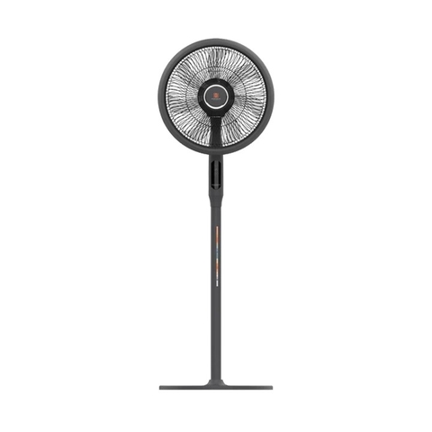 Quạt cây Hawonkoo DC FDH-012
