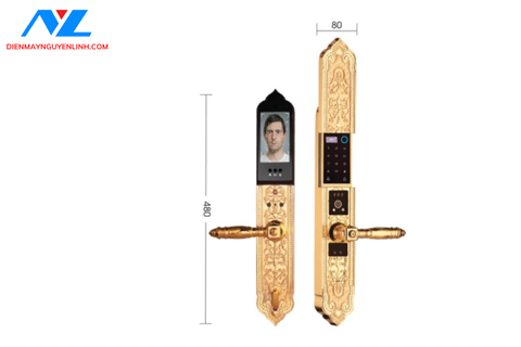 Khóa cửa chính và đại sảnh Demax EL9862 Gold APP Wifi
